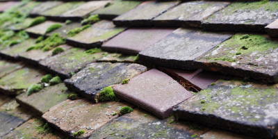Englefield roof repair costs